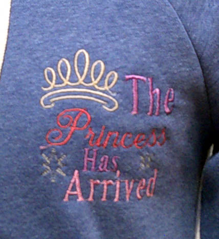 Blue hooded one of a kind sweatshirt with embroidered Princess design. FREE SHIPPING Size S